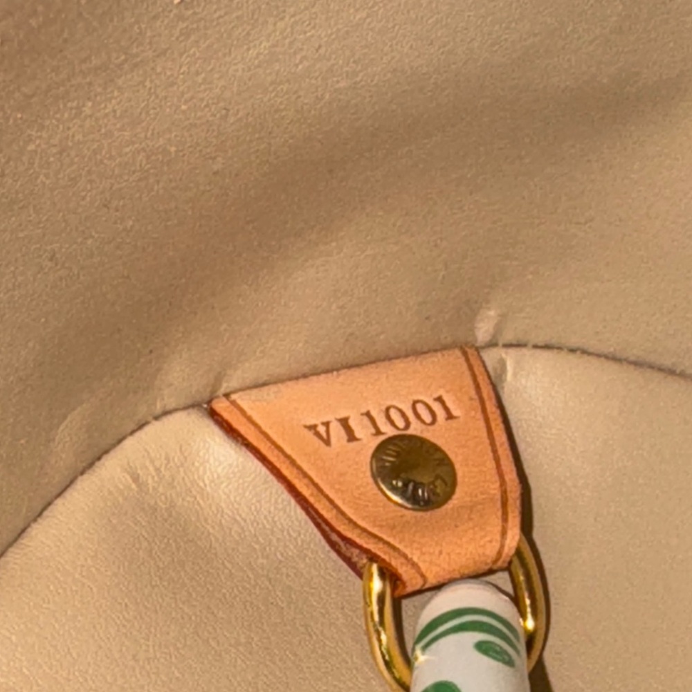 Authentic Louis Vuitton Vernis Papillon Bag - Picture 13 of 13
